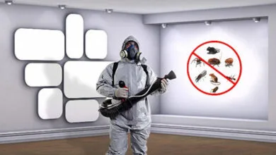 شركة مكافحة حشرات بالطائف