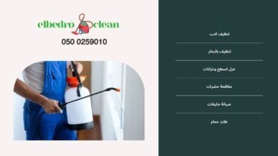 افضل شركة مكافحة حشرات بالطائف