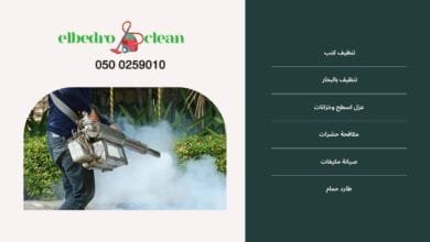 افضل شركة مكافحة حشرات بالطائف